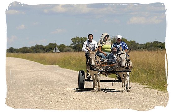 The donkey cart has long been a traditional form of transport for many rural people - languages of south africa, south african language