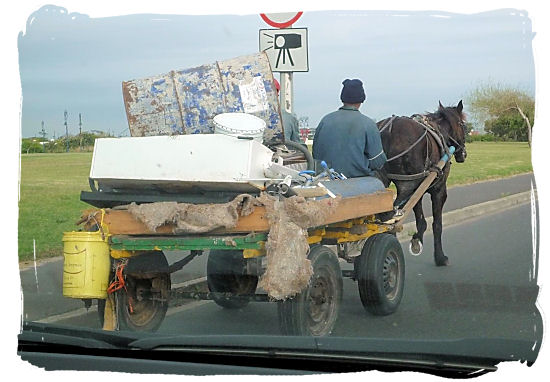 Be wary of 4 wheels x 4 legs slow-mo donkey cart traffic