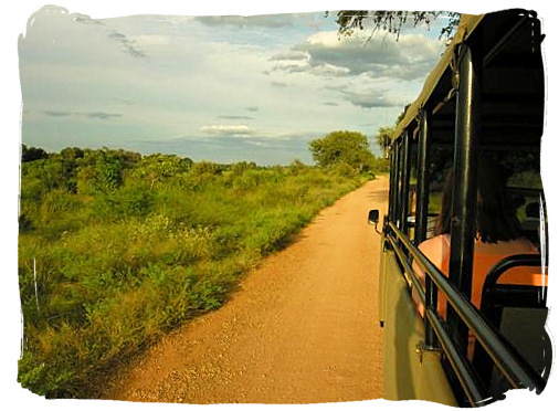Evening game drive near Skukuza rest camp - Kruger National Park Camps, Kruger National Park, Map, Tours, Safaris