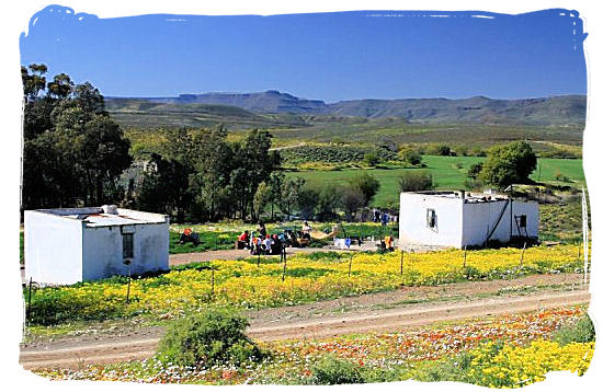 Farm labourer cottages near Calvinia - Namaqualand National Park and the Namaqua flowers spectacle