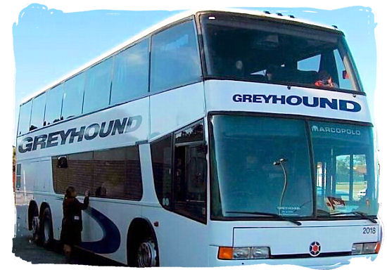 The Greyhound Bus service operates between a network of cities within South Africa