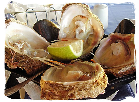 Knysna’s famous oysters - Festivals of South Africa