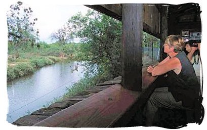 Game viewing hide at Bateleur camp - Bateleur Camp, Place of the Bateleur Eagle, Kruger National Park