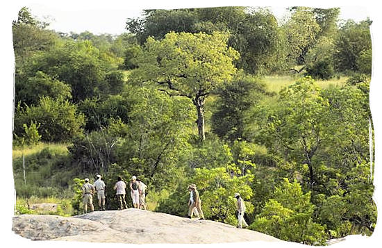 Guided bush walk - Tsendze camp