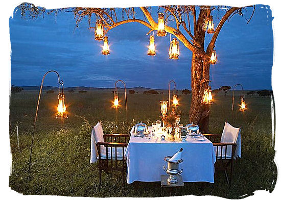 No better way to spend your honeymoon than on a safari in South Africa