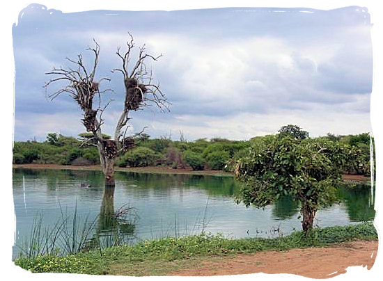 Landscape in the Kruger National Park - Tsendze Camping site, Kruger National Park, South Africa