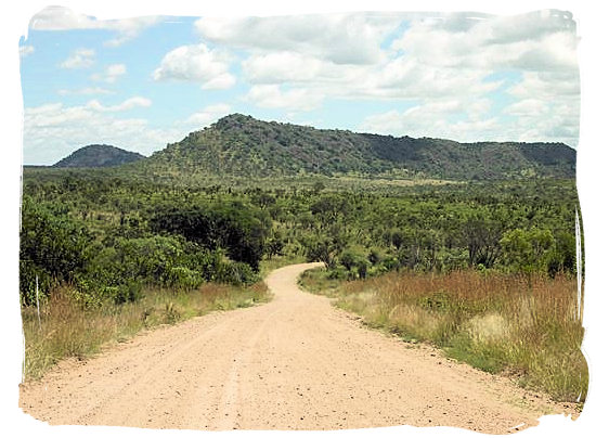 Landscape around the camp