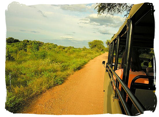 Late afternoon game drive in the Kruger National Park