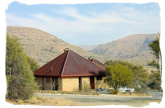 Chalet accommodation in the Park - about the Cape Mountain Zebras in the Mountain Zebra National Park