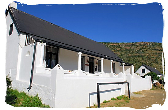 The Doornhoek guest house - about the Cape Mountain Zebras in the Mountain Zebra National Park