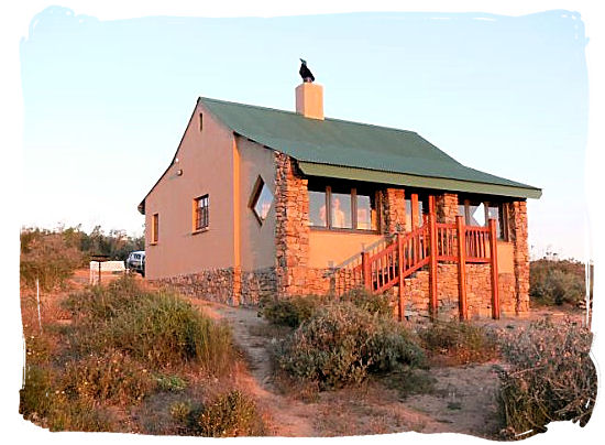 Chalet in the Namaqua national park - Namaqualand National Park and the Namaqua flowers spectacle