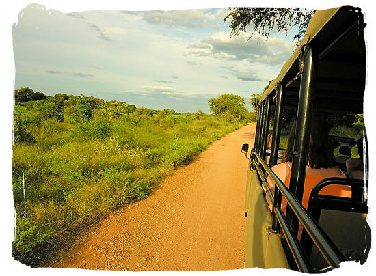 Kruger National Park game drive