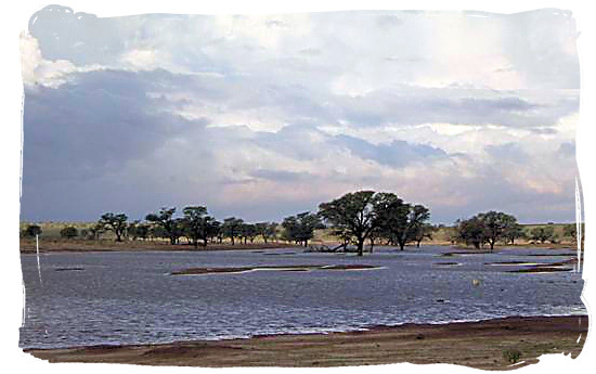 The Kalahari after a few of those rare heavy thunder storms - Kalahari Desert Climate in the Kgalagadi Transfrontier National Park