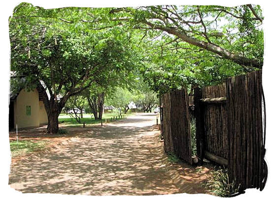 Road and landscape inside the camp - Crocodile Bridge Rest Camp in the Kruger National Park