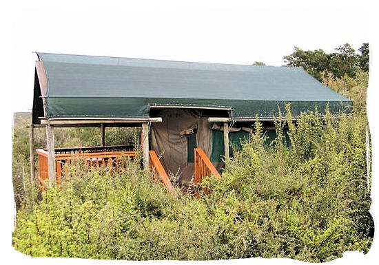 Safari tent - Addo Elephant Park accommodation