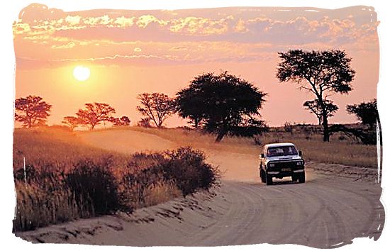 Enjoy daily game viewing with your own vehicle - Kgalagadi Transfrontier Park in the Kalahari, South Africa