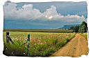 Threatening thunderstorm in the Orange Free State