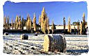 Winter landscape in the Orange Free State