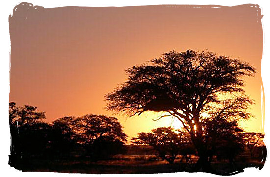 Sunset in the Kgalagadi - Grootkolk Wilderness Camp, Kgalagadi Transfrontier Park