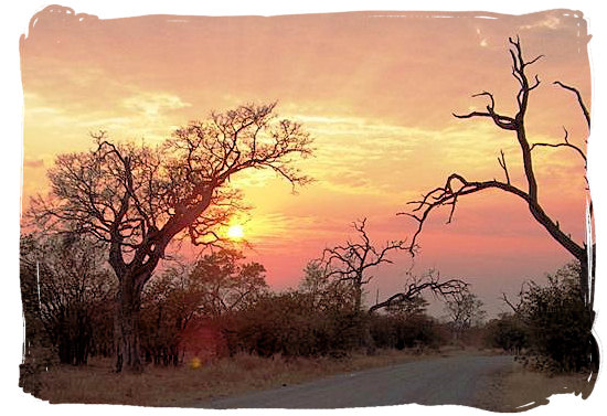 Berg en Dal Rest Camp, Kruger National Park, South Africa - Sunset landscape in the Kruger National Park