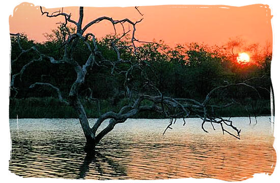 Sunset over the Pioneer dam near Mopani camp