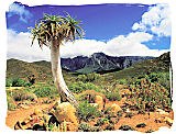 Landscape in the Tankwa Karoo National Park