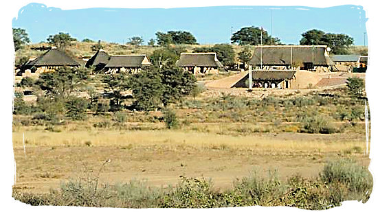 Twee Rivieren rest camp - Kgalagadi Transfrontier National Park in the Kalahari