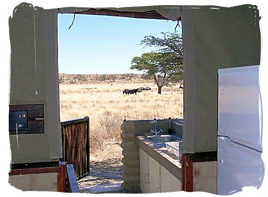 View from one of the cabins at the camp - Grootkolk Wilderness Camp, Kgalagadi Transfrontier Park