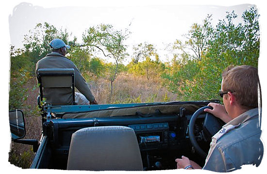 View from the inside of a game drive vehicle