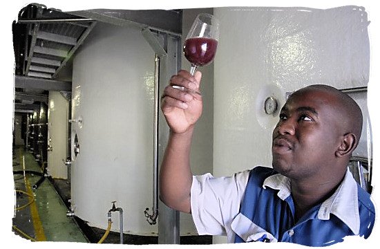 A winemaker tests a new batch of wine at the Orange River Wine Cellars in the Northern Cape province - languages of south africa, south african language