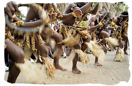 Group of Zulu dancers performing a traditional warrior dance - South African dance